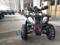  Forte BULL 200